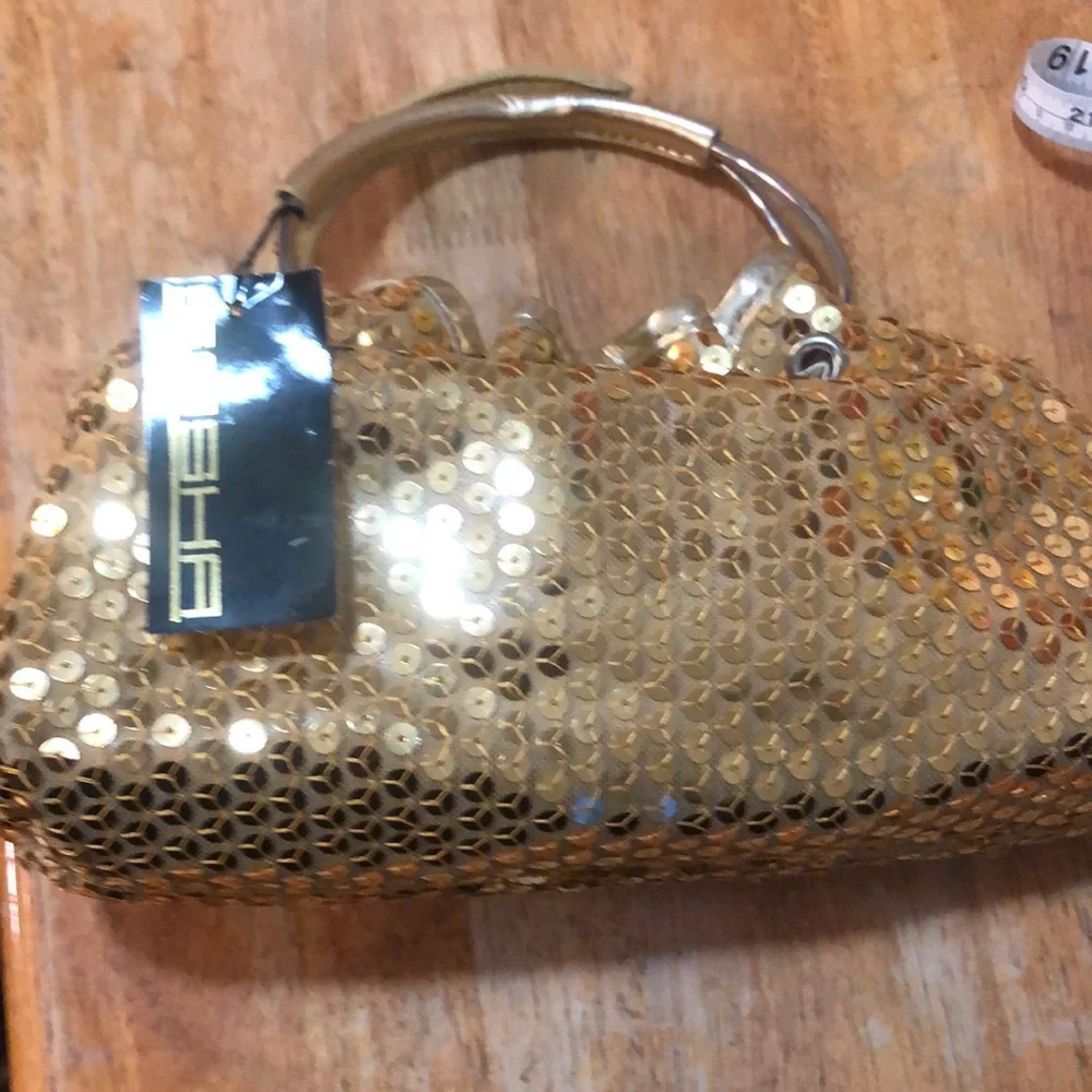 Sasha nwt clutch